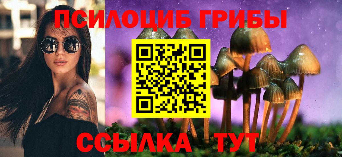 Псилоцибиновые грибы ЛСД Губкинский